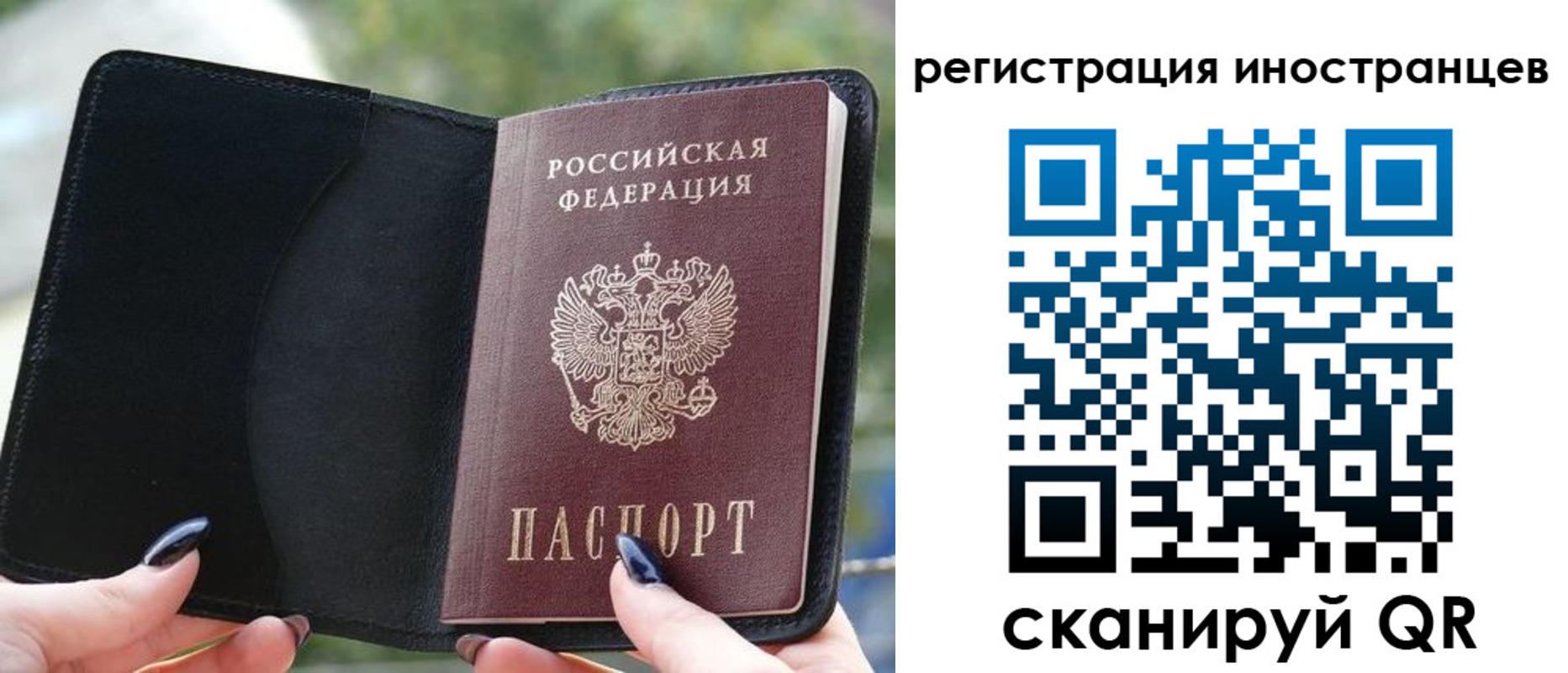 найти адрес прописки в Новороссийске